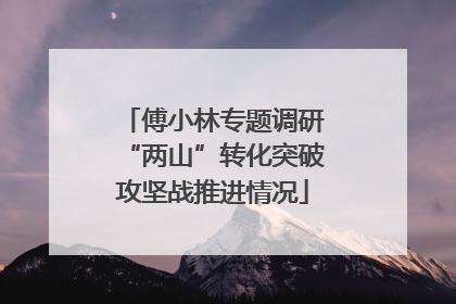 傅小林专题调研“两山”转化突破攻坚战推进情况
