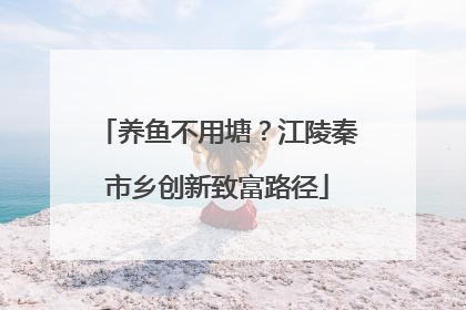 养鱼不用塘？江陵秦市乡创新致富路径