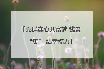 党群连心共富梦 钱景 “集” 结幸福力