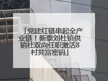 党建红链串起全产业链!新泰刘杜镇供销社双向任职激活8村共富密码