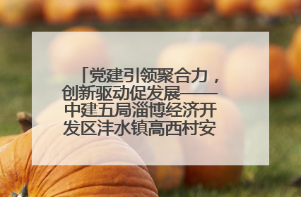 党建引领聚合力，创新驱动促发展——中建五局淄博经济开发区沣水镇高西村安置项目建设纪实