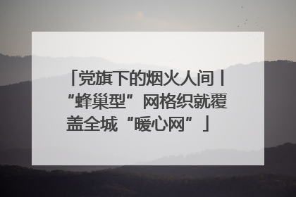 党旗下的烟火人间丨“蜂巢型”网格织就覆盖全城“暖心网”