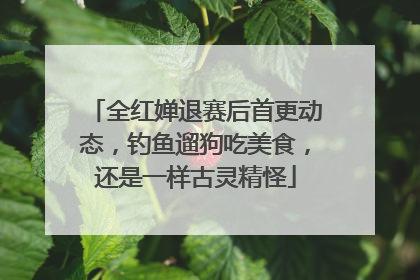 全红婵退赛后首更动态，钓鱼遛狗吃美食，还是一样古灵精怪