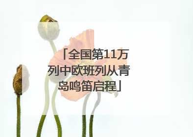 全国第11万列中欧班列从青岛鸣笛启程