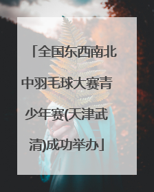 全国东西南北中羽毛球大赛青少年赛(天津武清)成功举办