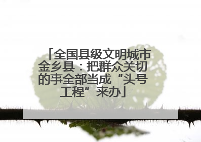 全国县级文明城市金乡县：把群众关切的事全部当成“头号工程”来办