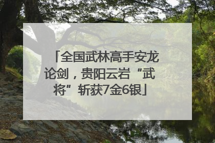 全国武林高手安龙论剑，贵阳云岩“武将”斩获7金6银