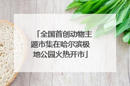 全国首创动物主题市集在哈尔滨极地公园火热开市