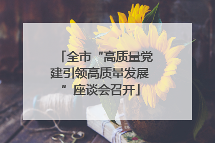 全市“高质量党建引领高质量发展”座谈会召开