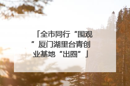 全市同行“围观”厦门湖里台青创业基地“出圈”