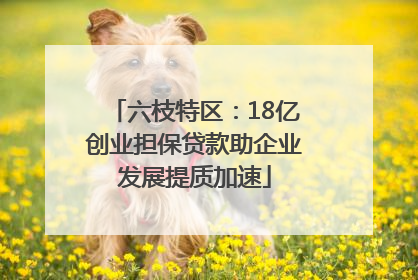 六枝特区：18亿创业担保贷款助企业发展提质加速