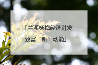 兰溪杨梅经济迸发致富“新”动能