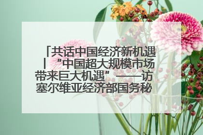 共话中国经济新机遇丨“中国超大规模市场带来巨大机遇”——访塞尔维亚经济部国务秘书尼科利奇
