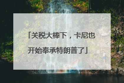 关税大棒下，卡尼也开始奉承特朗普了