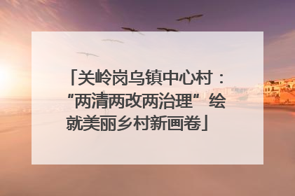 关岭岗乌镇中心村：“两清两改两治理”绘就美丽乡村新画卷
