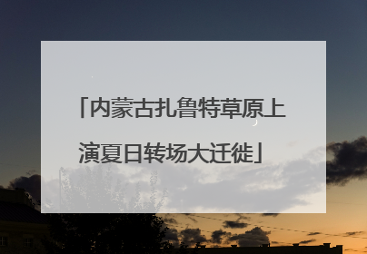 内蒙古扎鲁特草原上演夏日转场大迁徙
