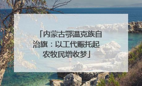 内蒙古鄂温克族自治旗：以工代赈托起农牧民增收梦