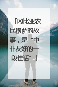 冈比亚农民穆萨的故事，是“中非友好的一段佳话”
