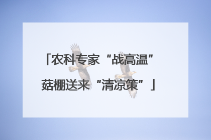 农科专家“战高温” 菇棚送来“清凉策”