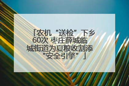 农机“送检”下乡60次 枣庄薛城临城街道为夏粮收割添“安全引擎”
