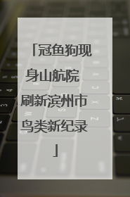 冠鱼狗现身山航院 刷新滨州市鸟类新纪录