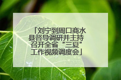 刘宁到周口商水县督导调研并主持召开全省“三夏”工作视频调度会