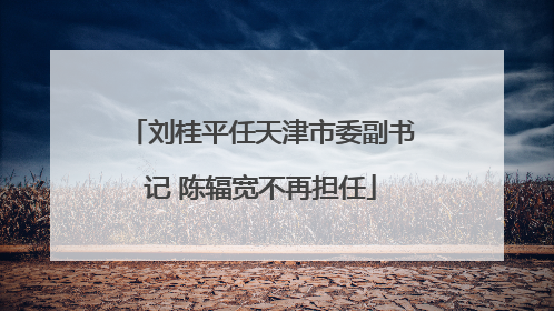 刘桂平任天津市委副书记 陈辐宽不再担任