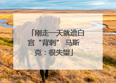刚走一天就遭白宫“背刺” 马斯克：很失望