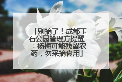 别摘了！成都玉石公园管理方提醒：杨梅可能残留农药，勿采摘食用