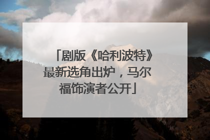 剧版《哈利波特》最新选角出炉，马尔福饰演者公开