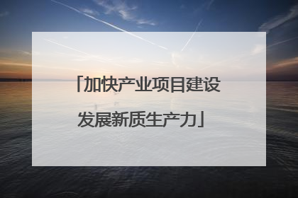 加快产业项目建设 发展新质生产力