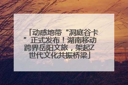 动感地带“洞庭谷卡”正式发布！湖南移动跨界岳阳文旅，架起Z世代文化共振桥梁