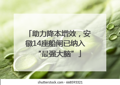 助力降本增效,安徽14座船闸已纳入“最强大脑”