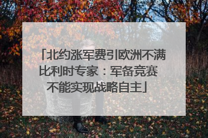 北约涨军费引欧洲不满 比利时专家：军备竞赛不能实现战略自主