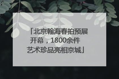 北京翰海春拍预展开幕，1800余件艺术珍品亮相京城