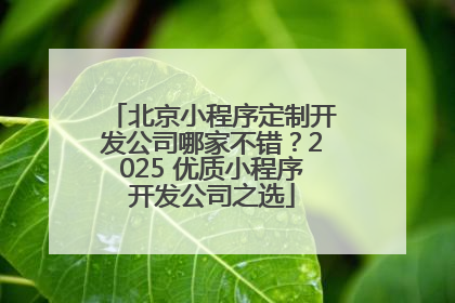 北京小程序定制开发公司哪家不错？2025 优质小程序开发公司之选