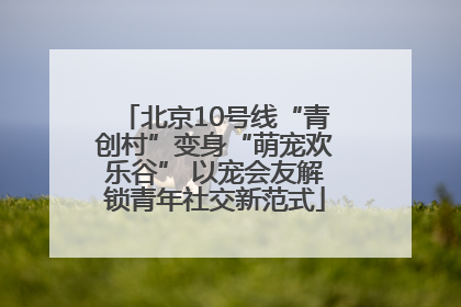 北京10号线“青创村”变身“萌宠欢乐谷” 以宠会友解锁青年社交新范式