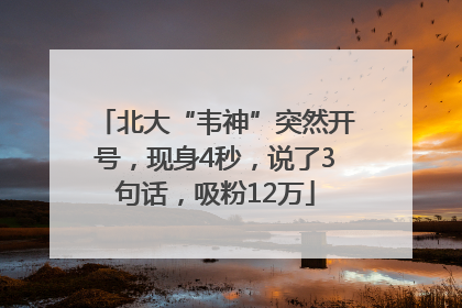 北大“韦神”突然开号，现身4秒，说了3句话，吸粉12万
