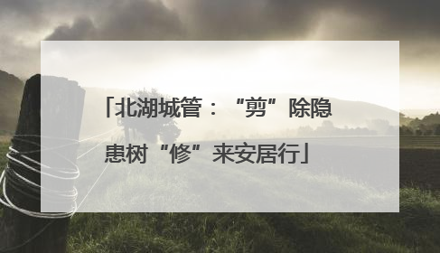 北湖城管：“剪”除隐患树“修”来安居行