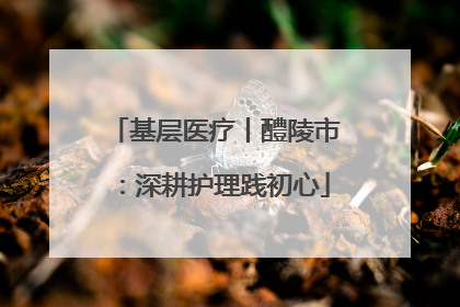 基层医疗丨醴陵市：深耕护理践初心