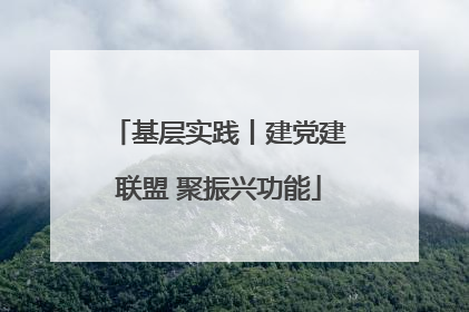 基层实践丨建党建联盟 聚振兴功能