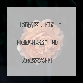 埇桥区：打造“种业科技谷” 助力强农兴种