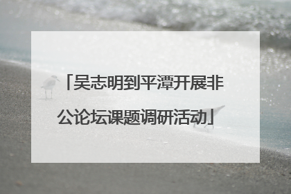 吴志明到平潭开展非公论坛课题调研活动