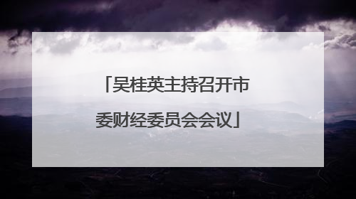 吴桂英主持召开市委财经委员会会议