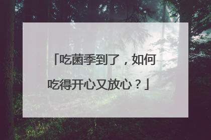 吃菌季到了，如何吃得开心又放心？