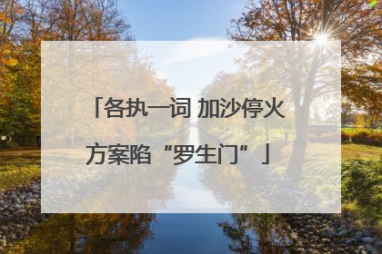 各执一词 加沙停火方案陷“罗生门”
