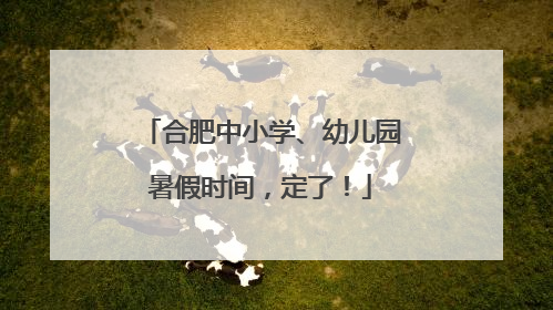 合肥中小学、幼儿园暑假时间，定了！