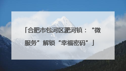 合肥市包河区淝河镇：“微服务”解锁“幸福密码”