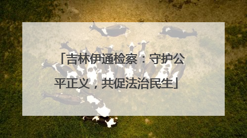 吉林伊通检察：守护公平正义，共促法治民生
