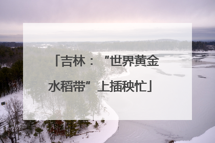 吉林：“世界黄金水稻带”上插秧忙